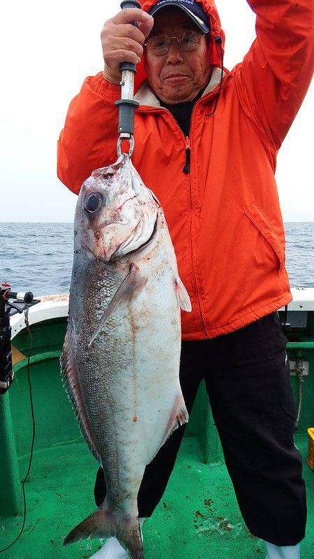 第三むつりょう丸 釣果