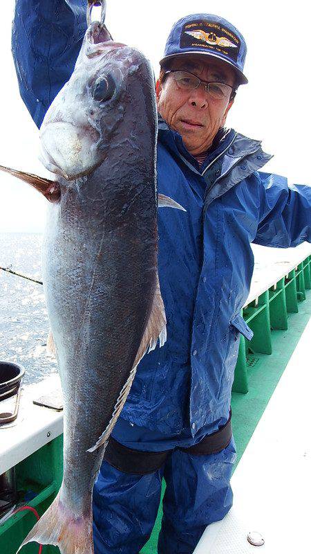 第三むつりょう丸 釣果