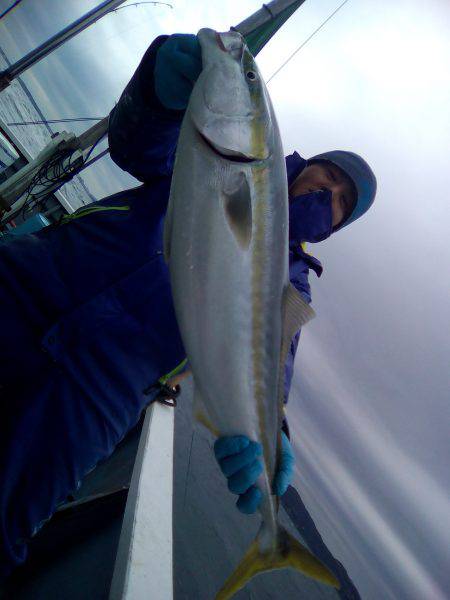 ファイヤードルフィン 釣果