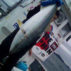 ファイヤードルフィン 釣果