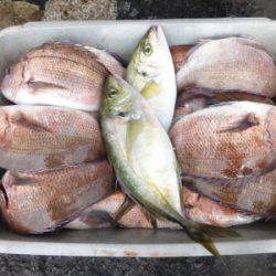 海釣り公園みかた 釣果