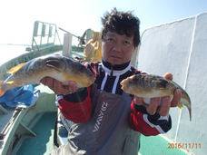 七福丸 釣果