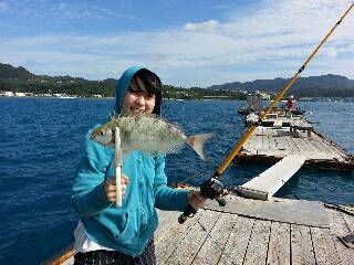 本部釣りイカダ 釣果