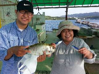 本部釣りイカダ 釣果