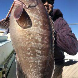 Fishing Guide OCEAN（沖吉丸） 釣果