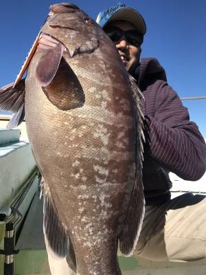 Fishing Guide OCEAN（沖…