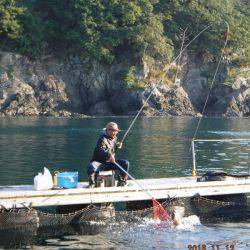 フィッシングパーク錦 釣果