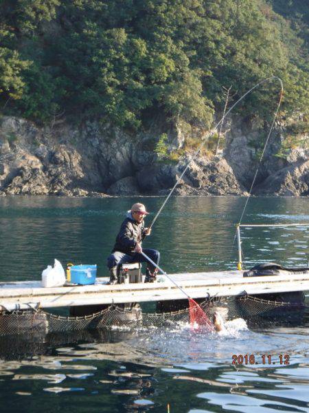 フィッシングパーク錦 釣果