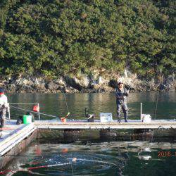 フィッシングパーク錦 釣果