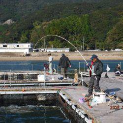 フィッシングパーク錦 釣果