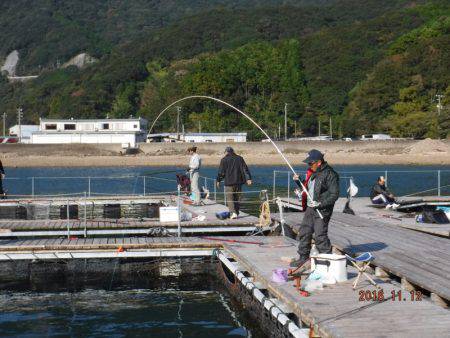 フィッシングパーク錦 釣果