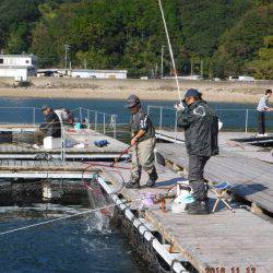 フィッシングパーク錦 釣果