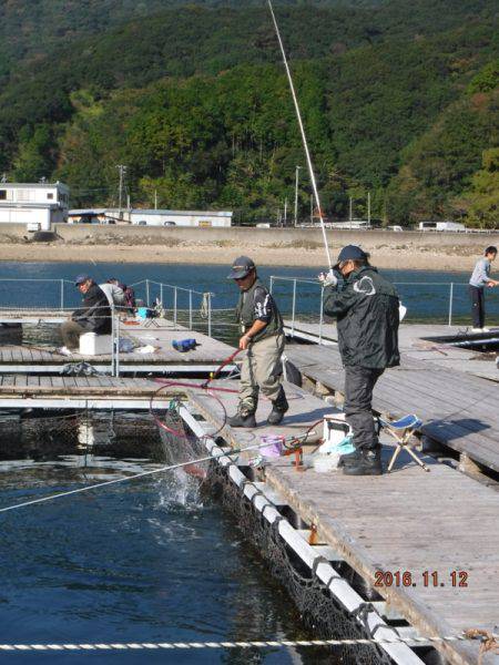 フィッシングパーク錦 釣果