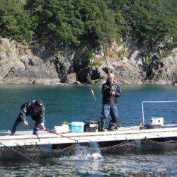 フィッシングパーク錦 釣果