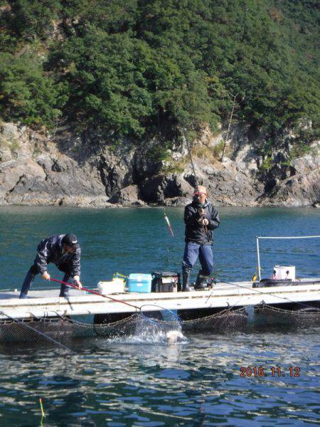 フィッシングパーク錦 釣果