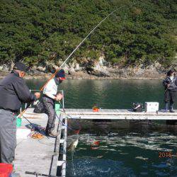 フィッシングパーク錦 釣果