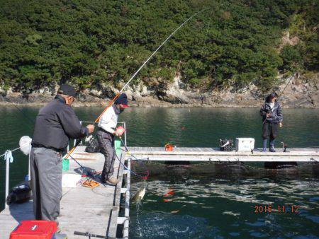 フィッシングパーク錦 釣果