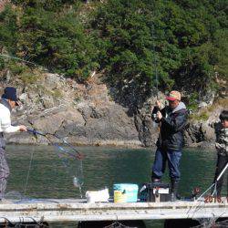 フィッシングパーク錦 釣果