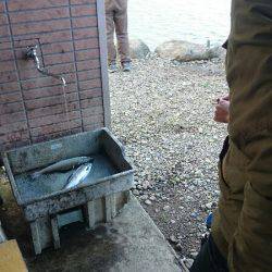 みどりフィッシングエリア 釣果