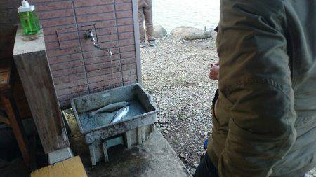 みどりフィッシングエリア 釣果