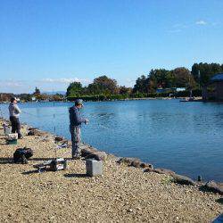 みどりフィッシングエリア 釣果