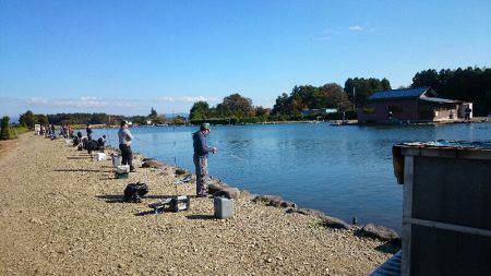 みどりフィッシングエリア 釣果