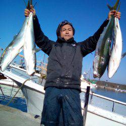 ファイヤードルフィン 釣果