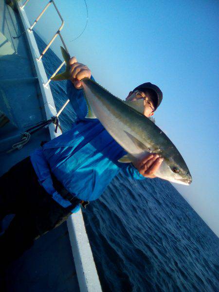 ファイヤードルフィン 釣果