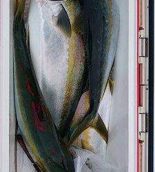 海龍丸（福岡） 釣果