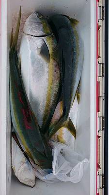 海龍丸（福岡） 釣果