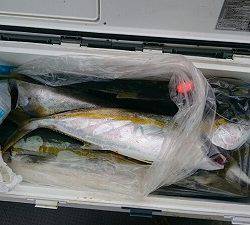 海龍丸（福岡） 釣果