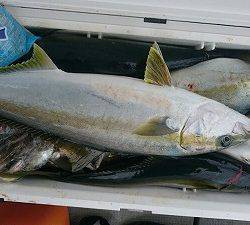 海龍丸（福岡） 釣果