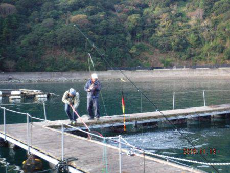 フィッシングパーク錦 釣果