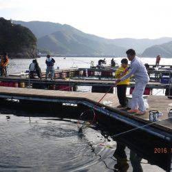 フィッシングパーク錦 釣果