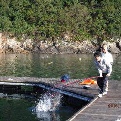 フィッシングパーク錦 釣果