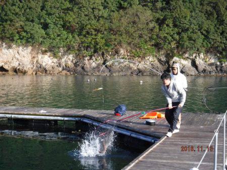 フィッシングパーク錦 釣果