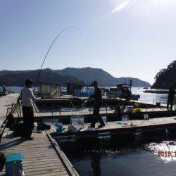 フィッシングパーク錦 釣果