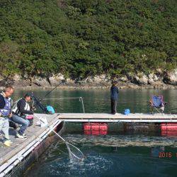 フィッシングパーク錦 釣果