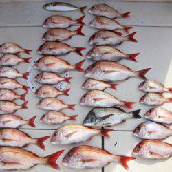 来温丸(らいおんまる) 釣果