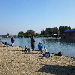 みどりフィッシングエリア 釣果