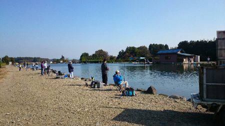 みどりフィッシングエリア 釣果