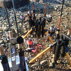 みどりフィッシングエリア 釣果