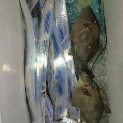 オーフリー 釣果