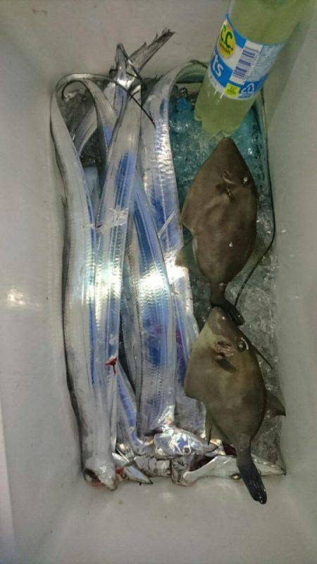 オーフリー 釣果