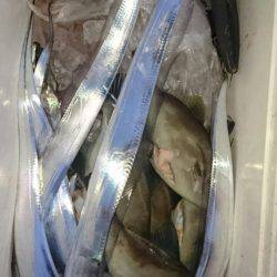 オーフリー 釣果