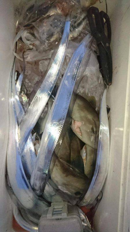 オーフリー 釣果