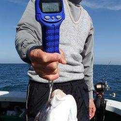 第三むつりょう丸 釣果