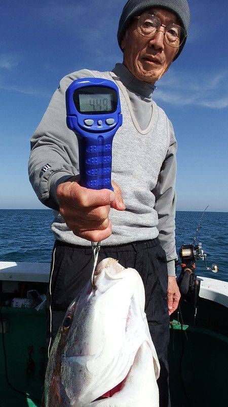 第三むつりょう丸 釣果