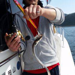 暁〜akatsuki〜 釣果