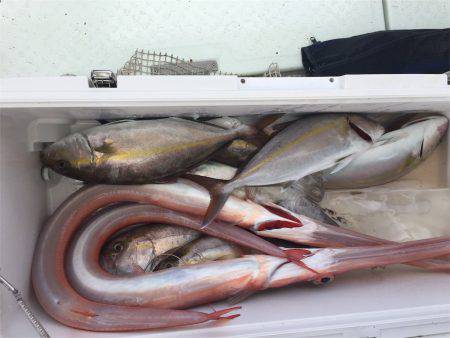 マタウマリンサービス 釣果